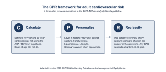 CPR-Framework-for-adult-cardiovascular